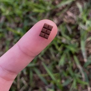 10PC Chocolate Bars