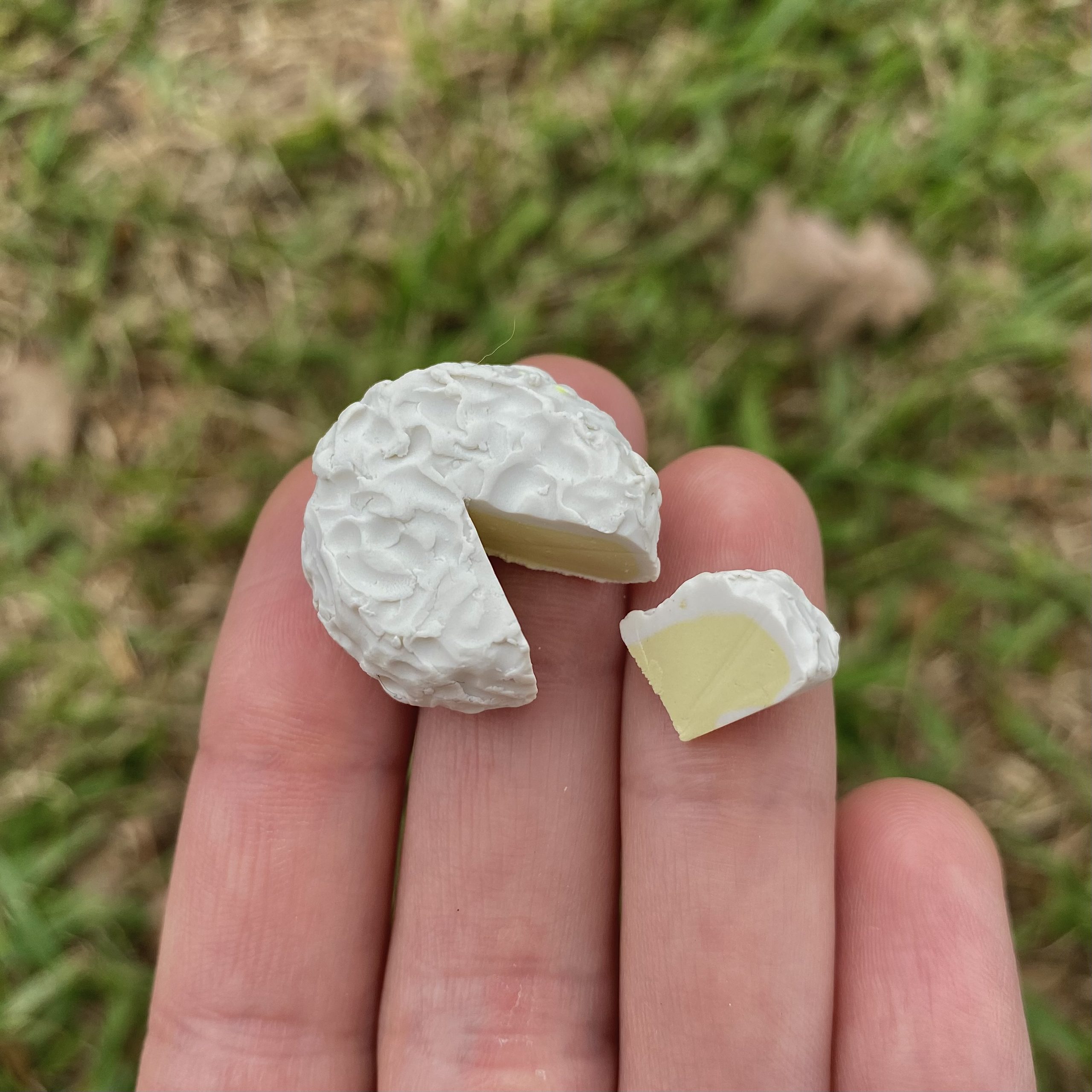 Cheese Wheels and Slices - Image 4