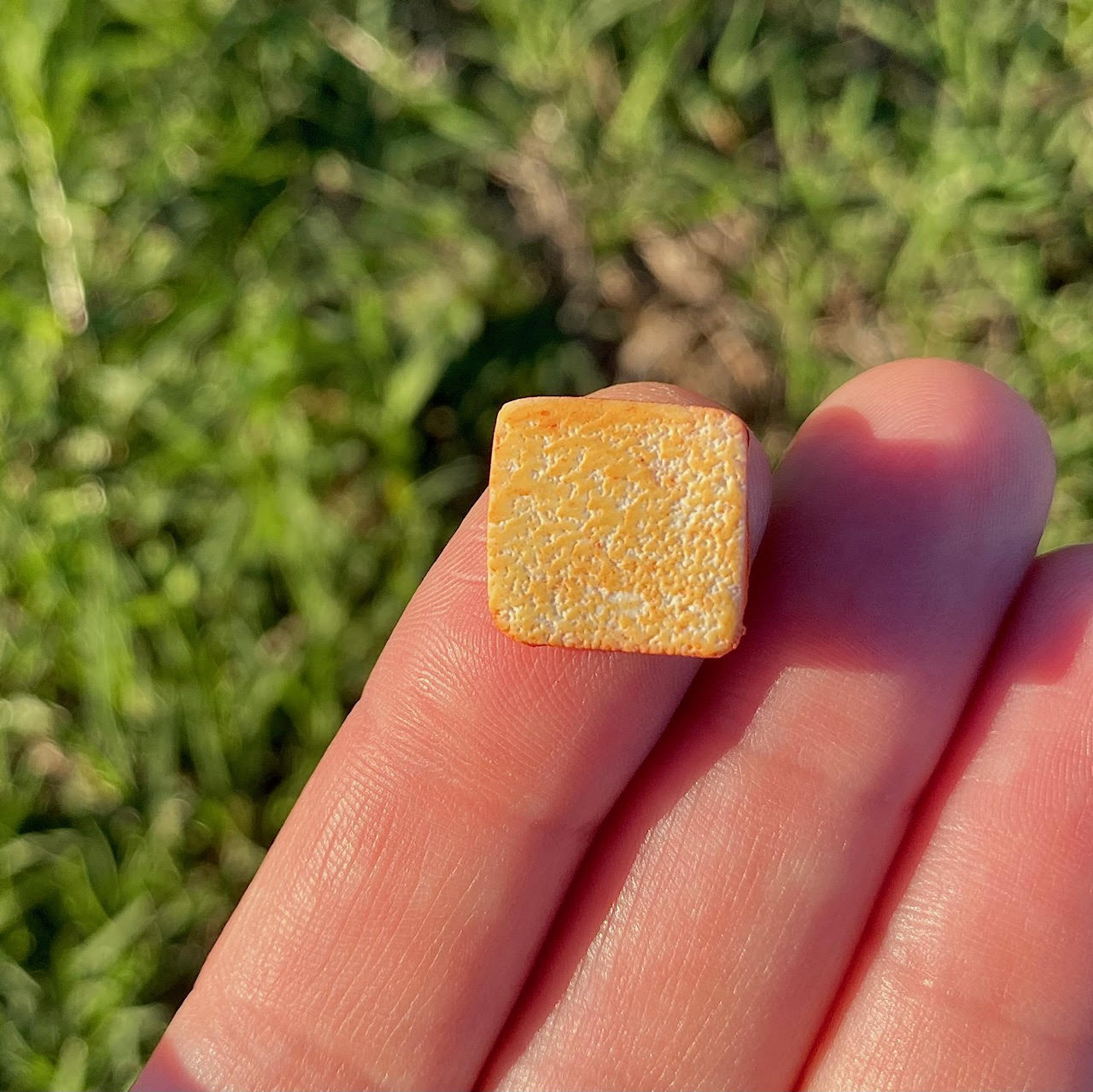 Plain piece of toast, sized 1/2 inch by 1/2 inch for dollhouses.