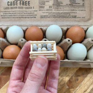 Eggs