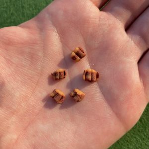 Bacon Strips