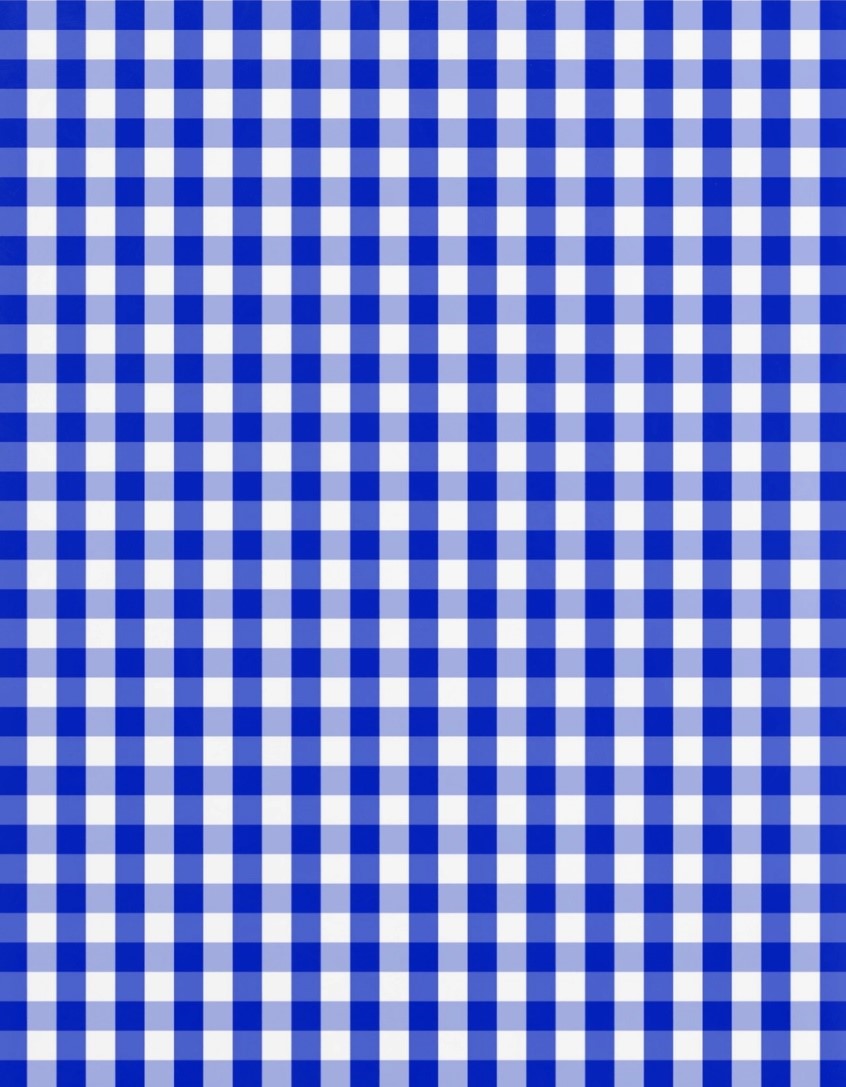Blue Gingham Lids