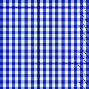 Blue Gingham Lids