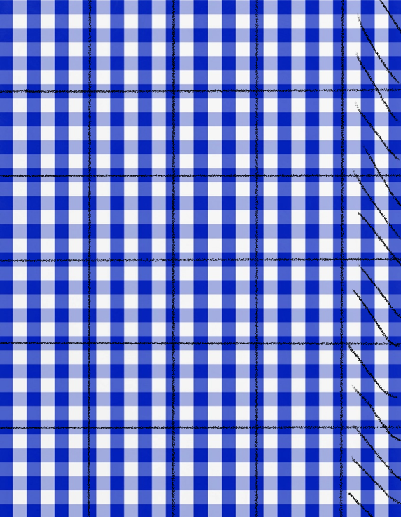 Blue Gingham Lids - Image 2
