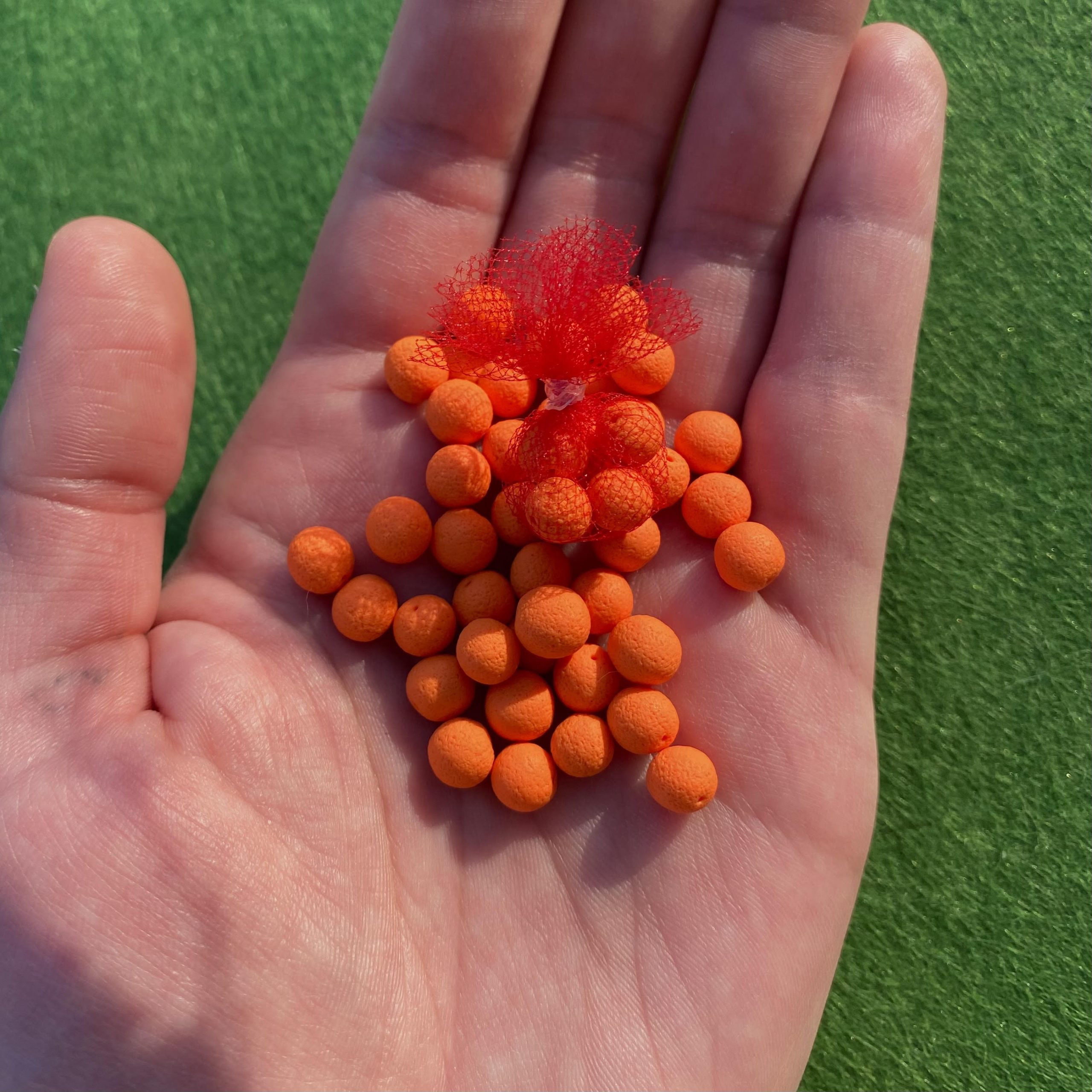 Oranges