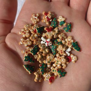 5PC Micro Christmas Cookies
